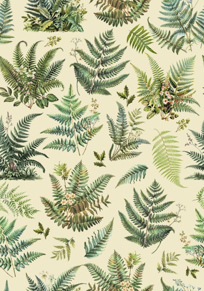 Pattern