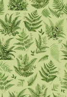 Lush Green Woodland Ferns carta da parati
