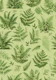 Lush Green Woodland Ferns