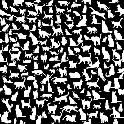 Muster