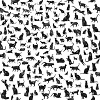 Cats Silhouettes 5 galaxy behang