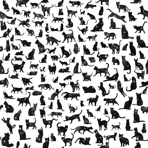Cats Silhouettes 5 galaxy