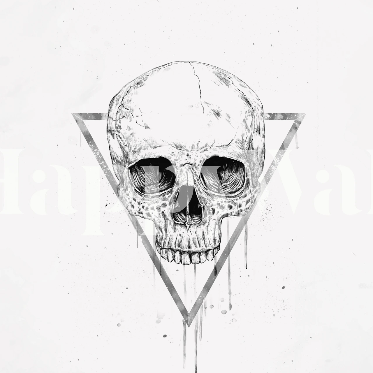 Sort og hvid skull i en triangel (bw) design