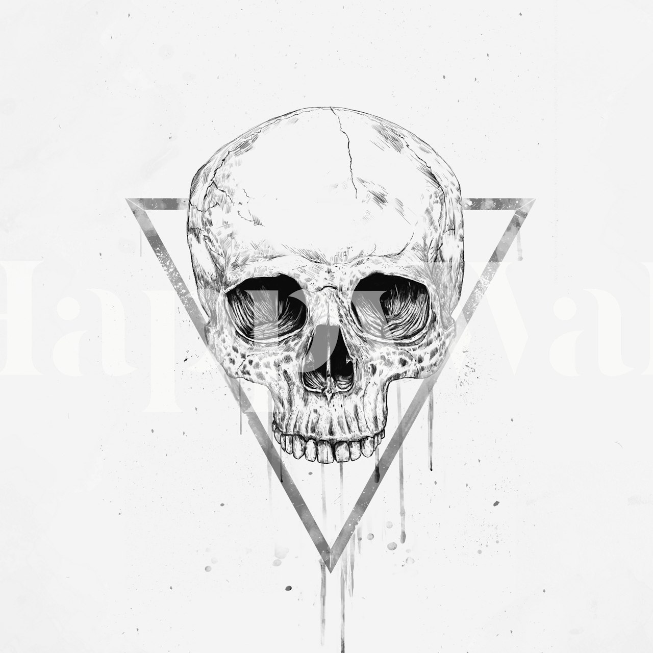 Black and white skull wallpaper design