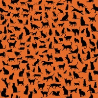 Cats Silhouettes 11 Halloween orange behang