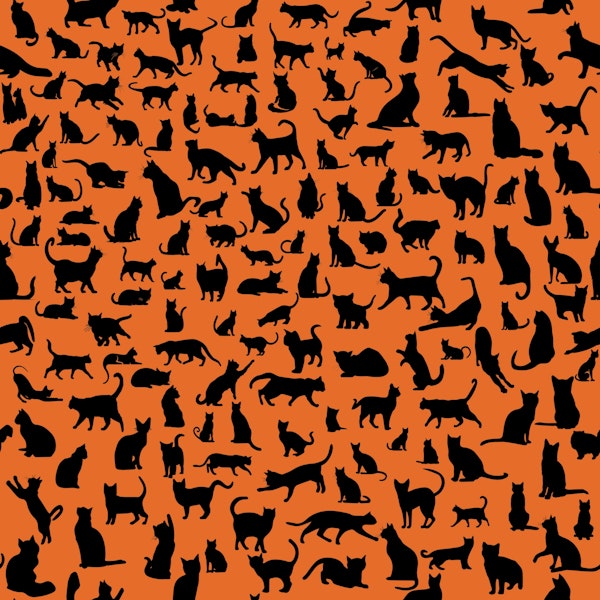 Cats Silhouettes 11 Halloween orange