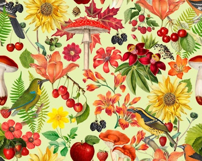 Pattern