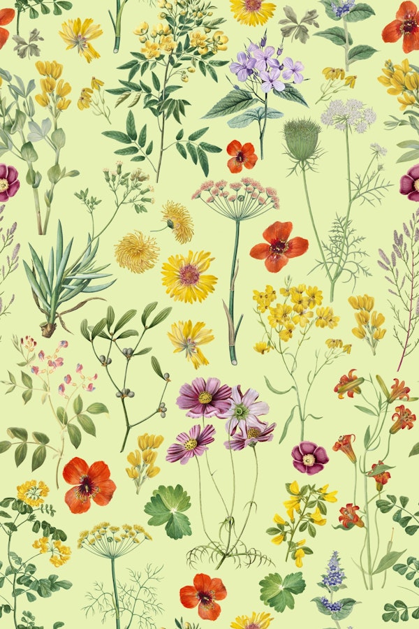 Swedish Midsummer Vibe Wildflowers Meadow