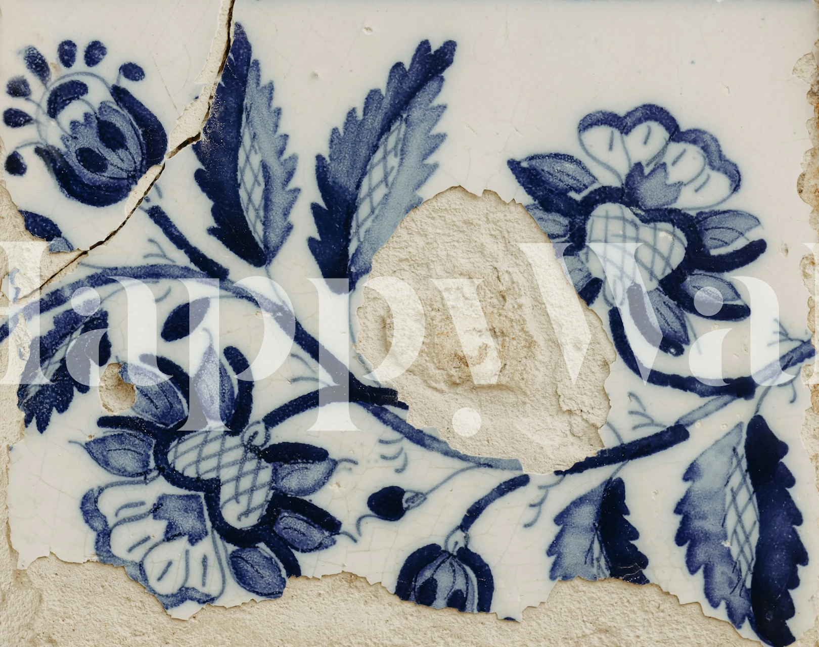Portugalski ručno oslikani Azulejos u sobi