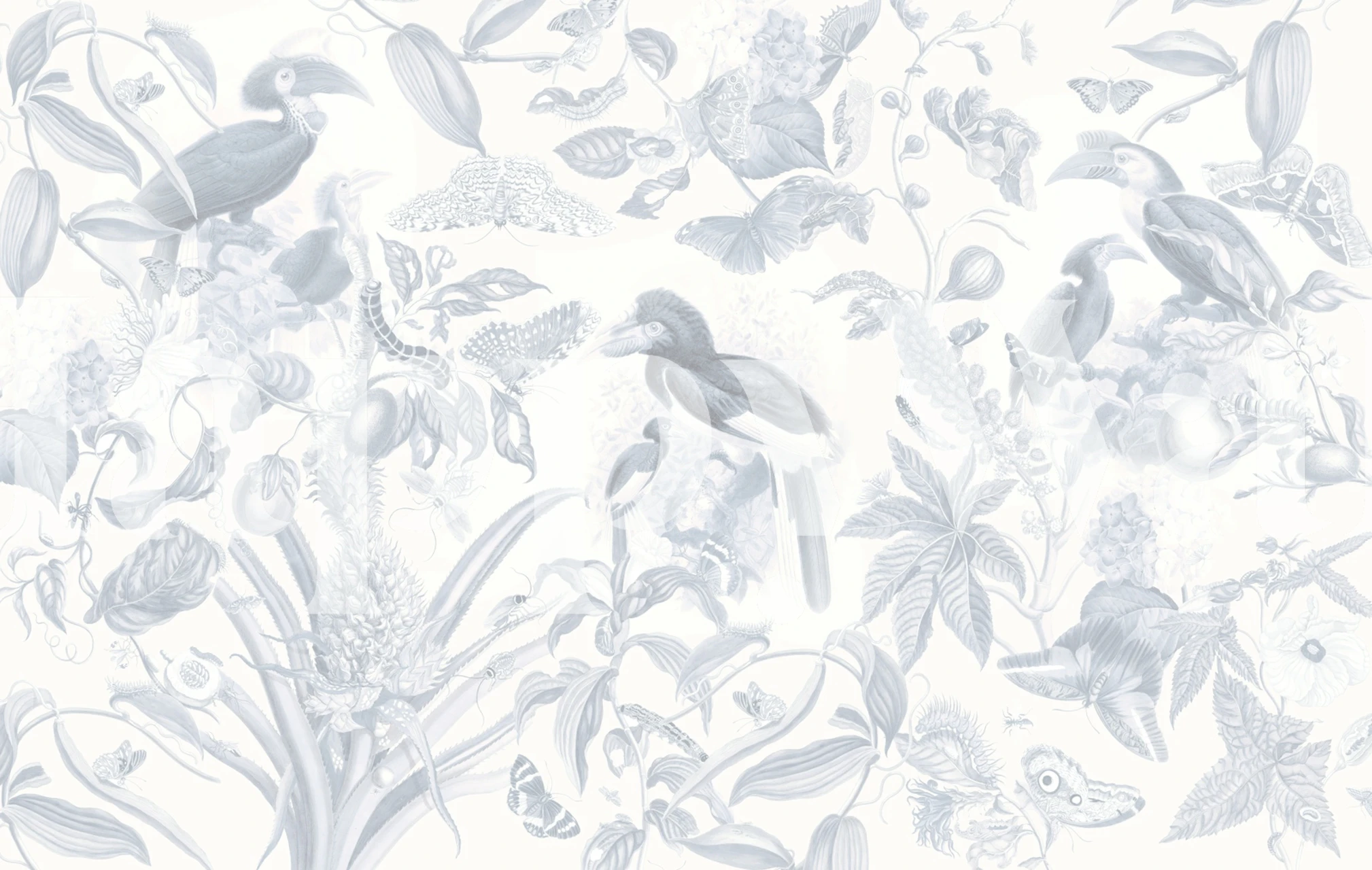 papel de parede Life Jungle em um quarto