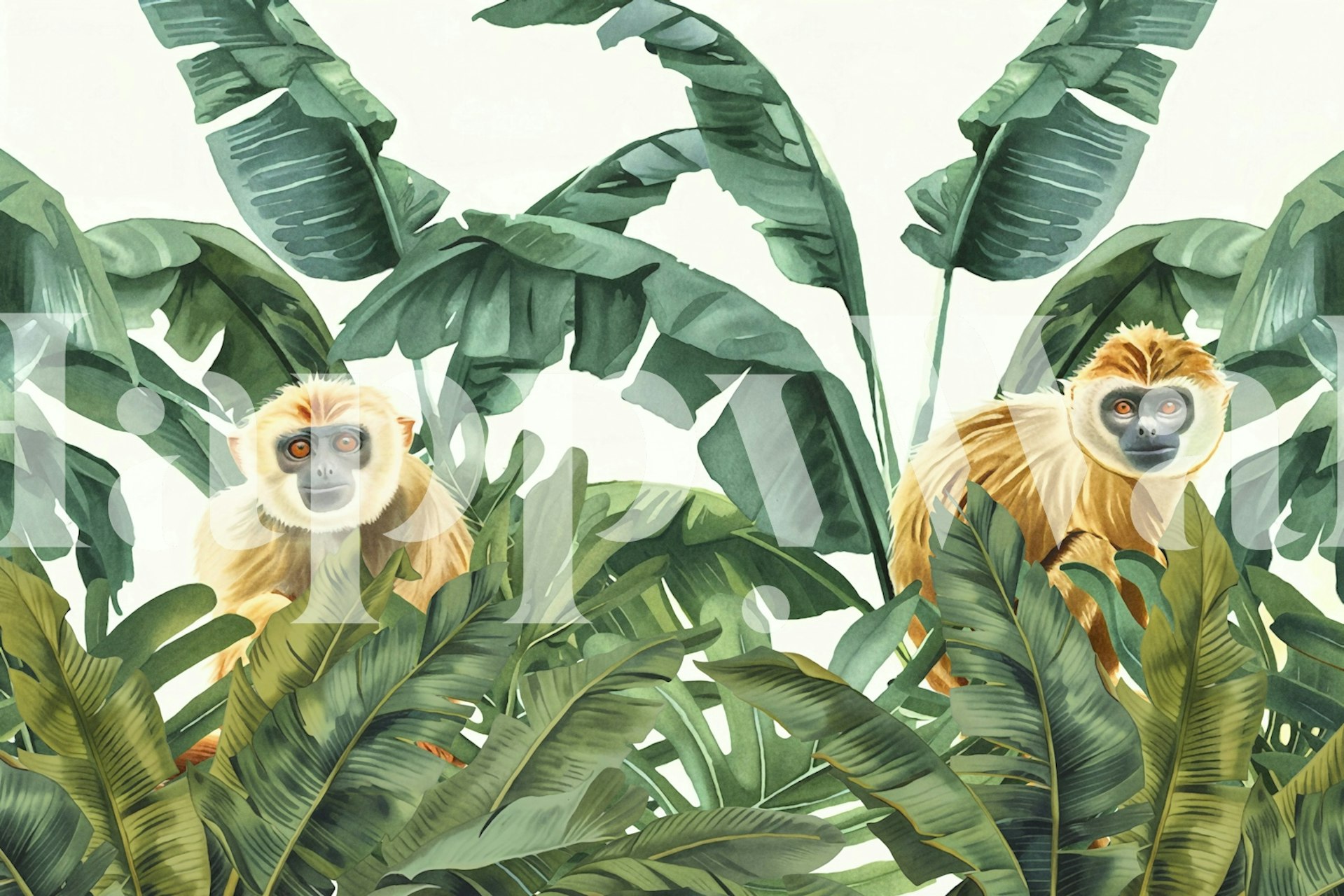 Tropical Jungle Monkey Adventures s opicemi