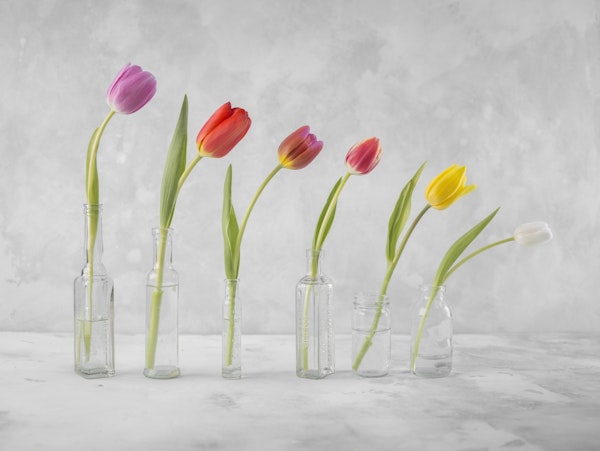 Spring Blooms in Bottles