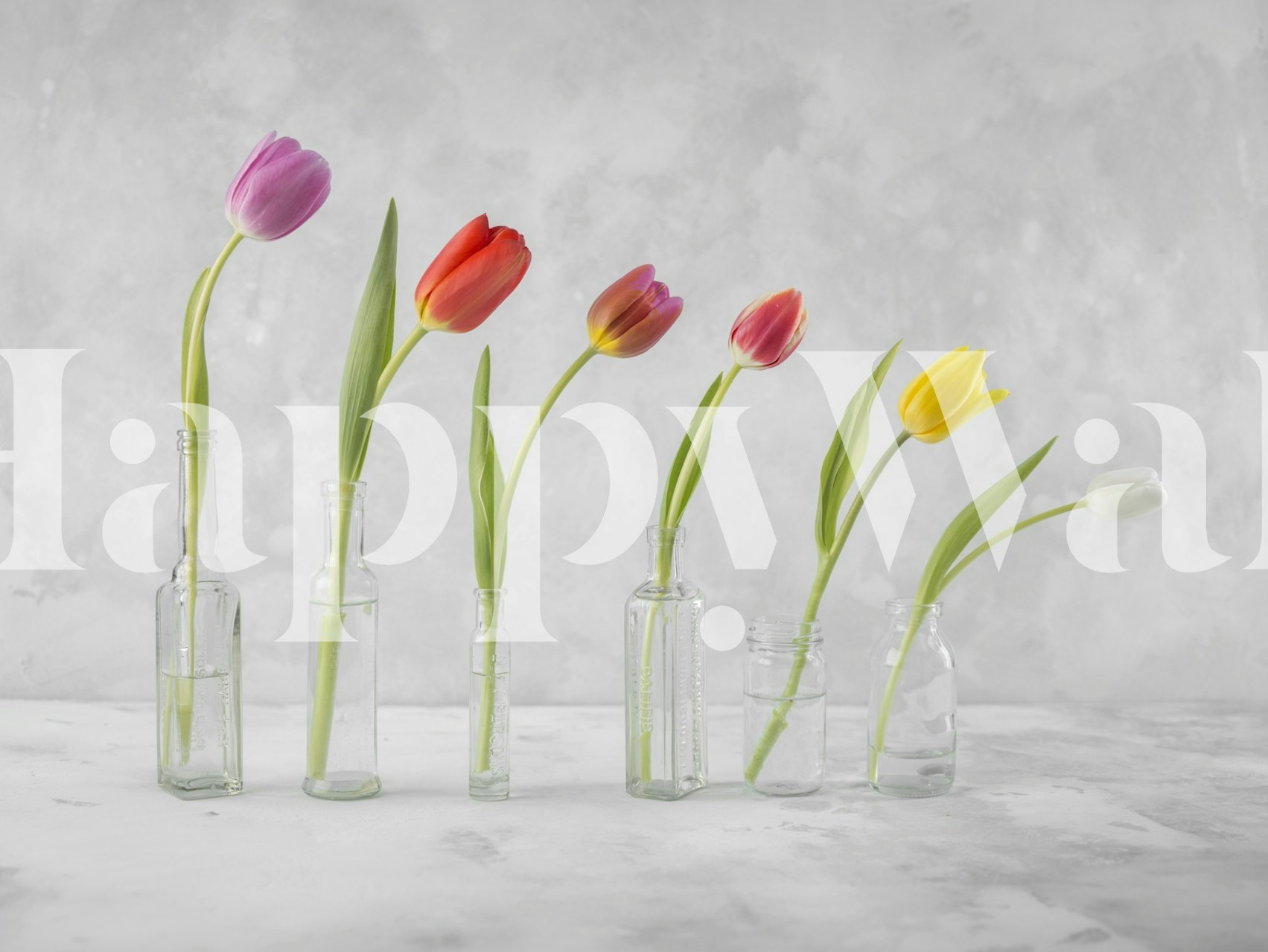 Colorful tulips in glass bottles wallpaper