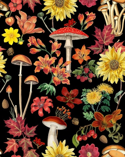 Pattern