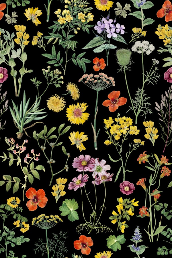 Swedish Midsummer Wildflower Meadow Black