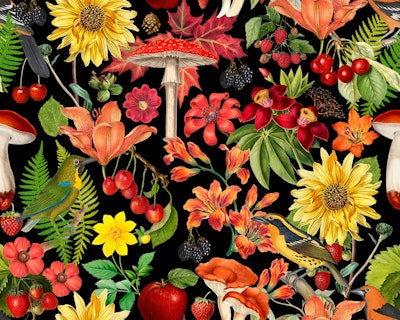 Pattern