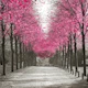 White Pink