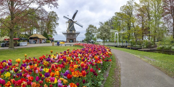 Garden of Dreams
