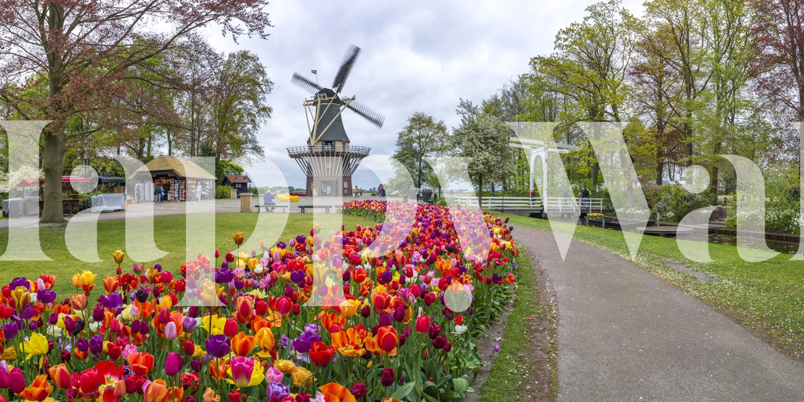 Vibrant Garden of Dreams floral wallpaper