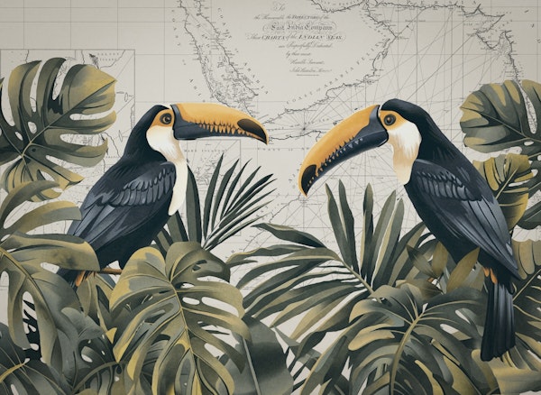 The Toucans Tropical Journey