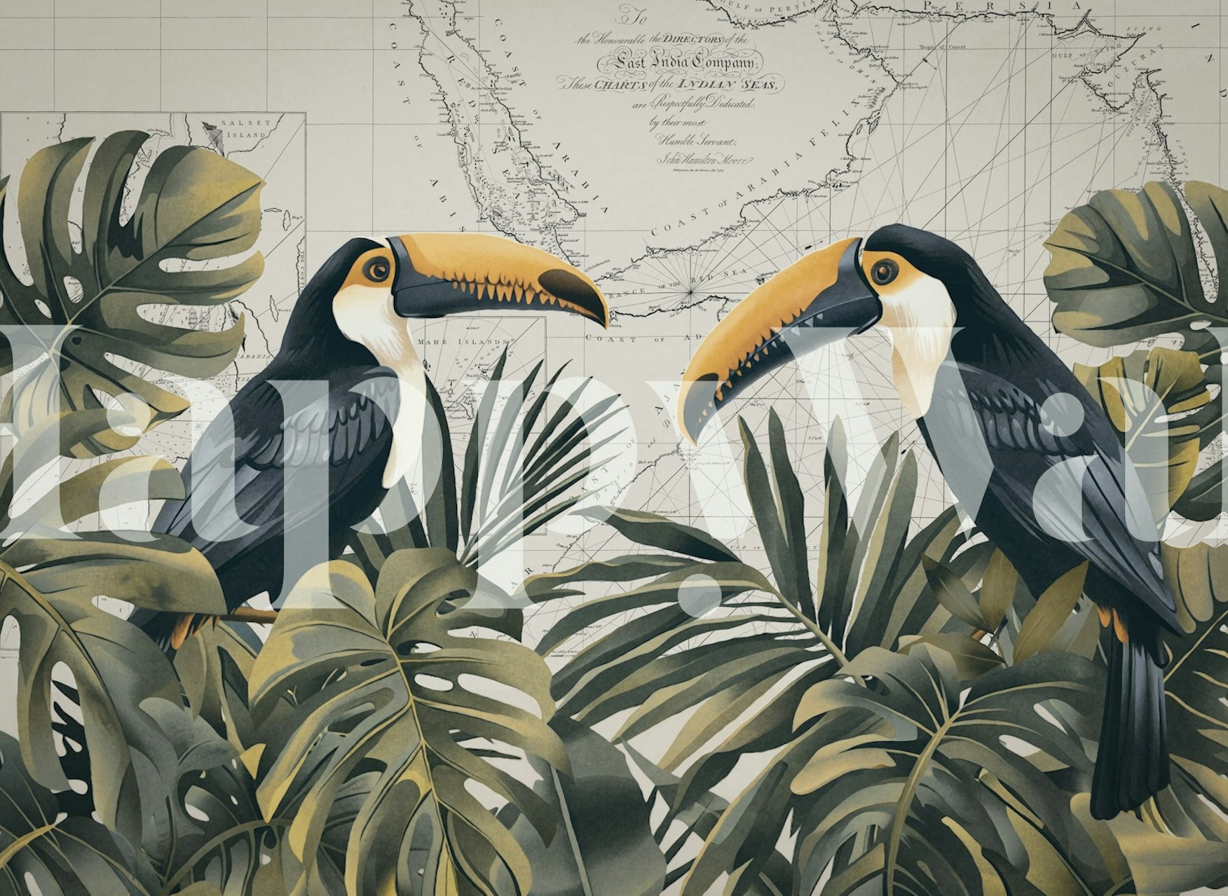 Tropical toucans wallpaper in a room