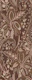 Bohemian Botanical harmony brown