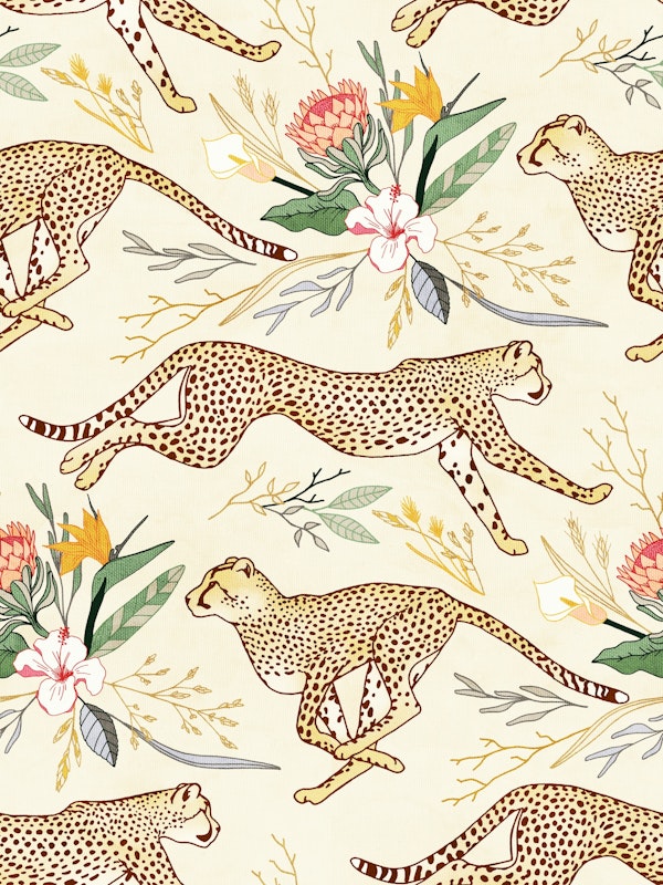 Weightless Cheetahs in Boundless Safari