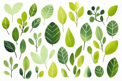 Mural