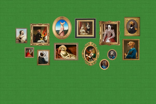 Dog Portraits Statement Wall in Green