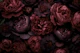 Victorian Grandeur Large Flowers Burgundy Red