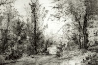 Enchanted Forest Sketch behang