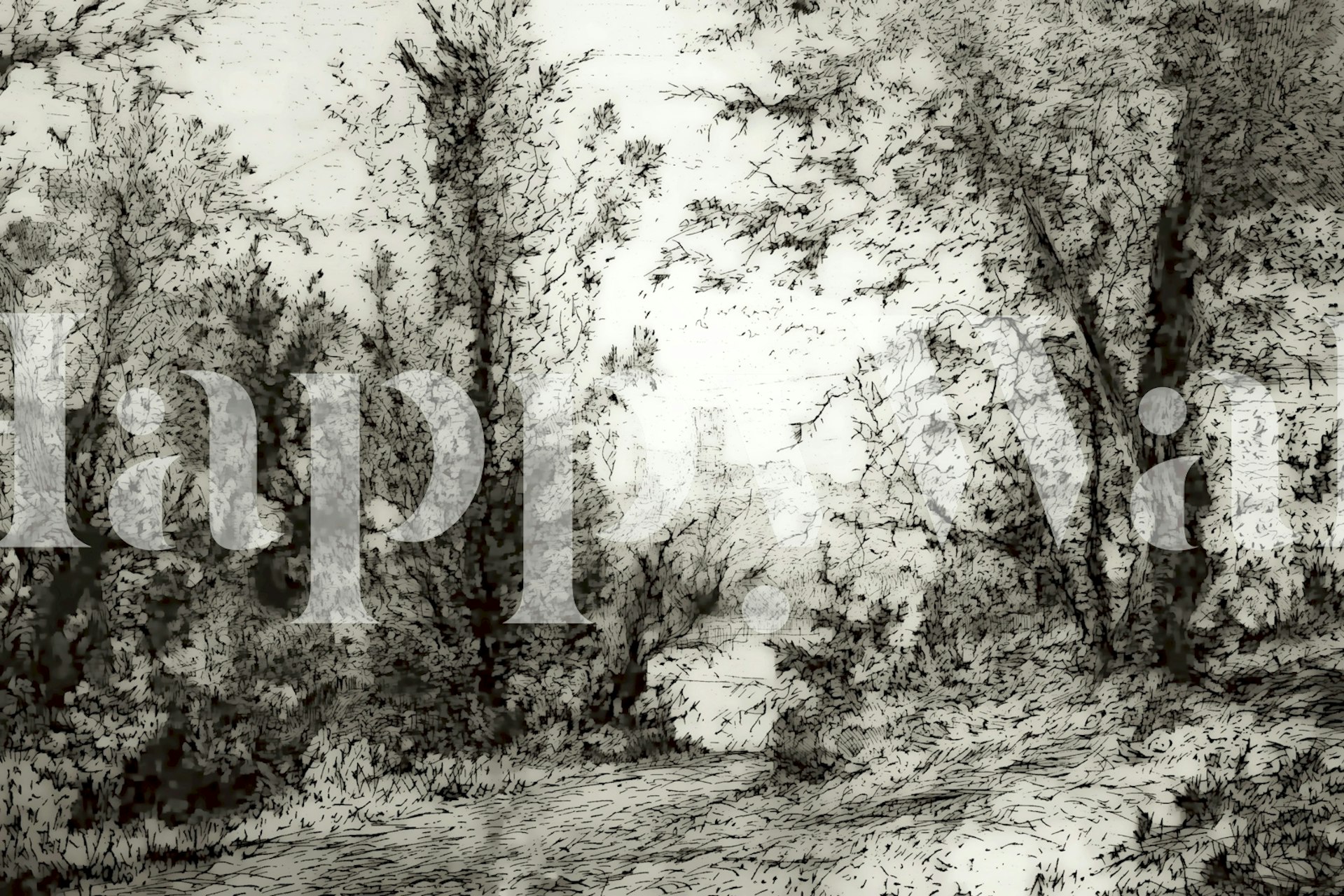Sketch of a forest landscape with trees and path in black and white wallpaper