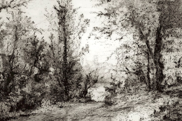 Enchanted Forest Sketch