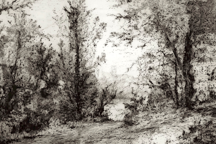Black and White Forest Landscape Wallpaper