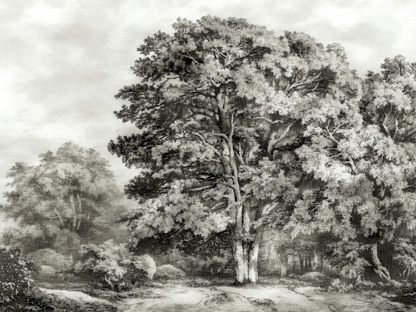 Vintage Tree Grove Art