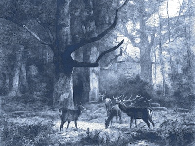 Mural