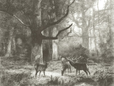 Mural
