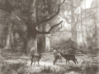 Enchanted Forest Scene wallpaper