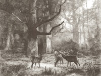 Enchanted Forest Scene tapetit