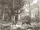 Enchanted Forest Scene