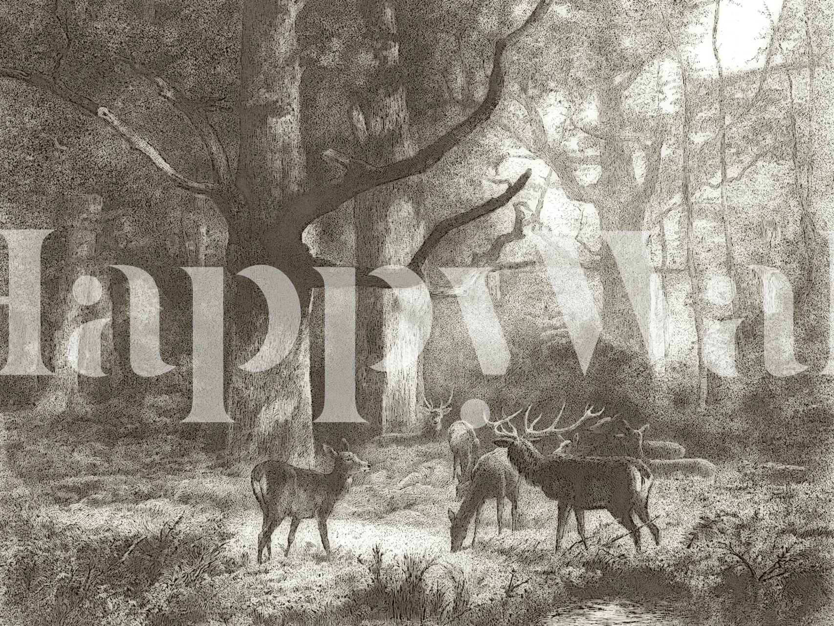 Forest scene with deer and trees in black and white wallpaper