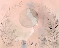 Blush Botanic Bliss wallpaper