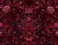 Mystic Baroque Flower Skull Snake Requiem tapete