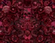 Mystic Baroque Flower Skull Snake Requiem