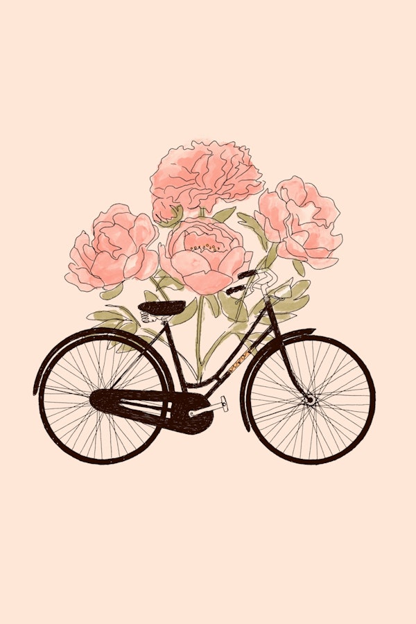 Vintage Bike Flora : Paris