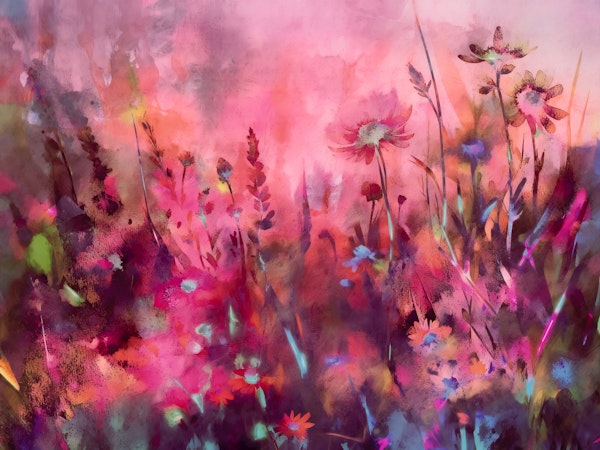 Misty Meadow Dream