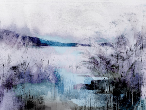 Misty Lakeside Reeds