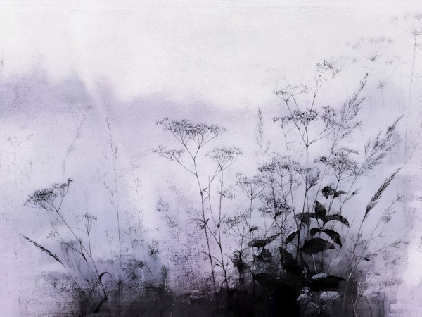 Twilight Garden Haze