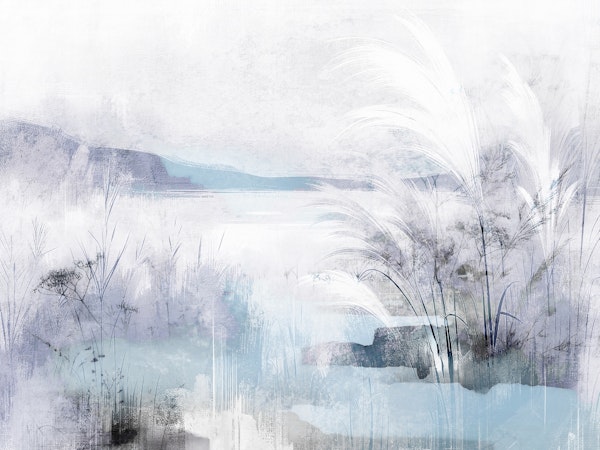 Misty Lake Reeds