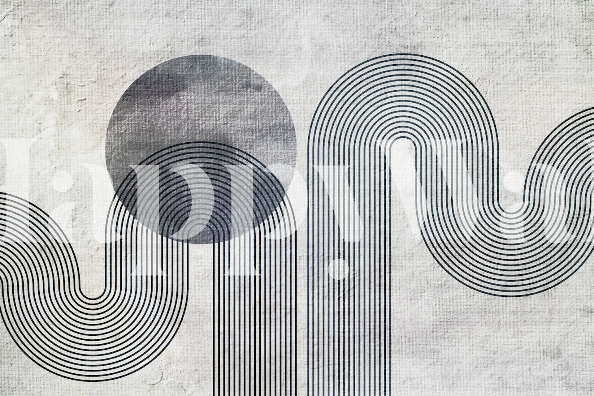 Abstract lines and curves with gray tones wallpaper